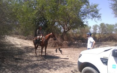 Más de 150 días ininterrumpidos de lucha contra la plaga de langostas