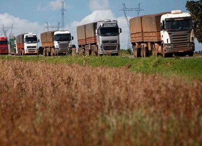 Impulsan el reemplazo del gasoil por biodiésel en el transporte de cargas