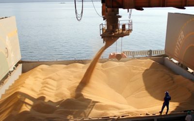 El complejo soja anotó ventas externas por u$s 1.872 millones en octubre