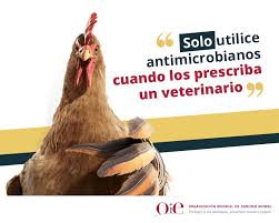 Todos tenemos un rol en el combate contra la RAM