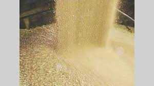 Qué se espera en el mercado de granos en el 2023