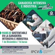 Gestión sustentable en ganadería intensiva e industria: nueva jornada virtual del IPCVA
