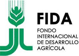 La financiación concedida al FIDA por los Países Bajos será de ayuda para prevenir que la COVID-19 desate una crisis alimentaria