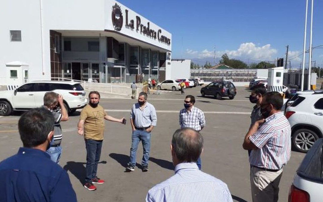 Buscan posicionar a Mendoza como centro exportador de carnes