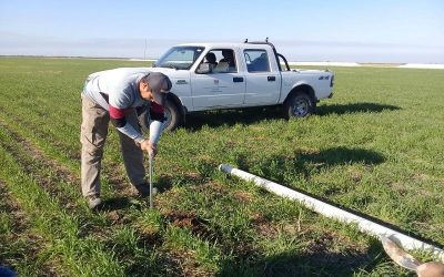 Agro adaptativo: ajustar la demanda agrícola a la oferta variable de agua