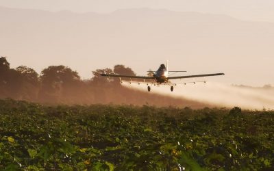 La importancia del trabajo aéreo en las economías regionales
