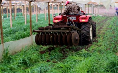 Economía circular: Beneficios de la materia orgánica en los suelos