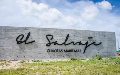  Expectativas en el sector inmobiliario