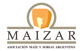 La cadena del maíz rechaza la intervención que impuso el Gobierno Nacional al mercado de maíz.