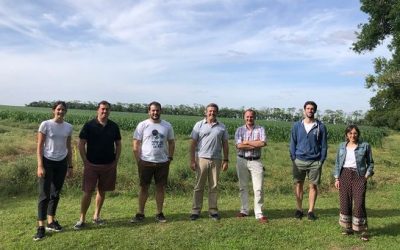 Plant- based food: buscan invertir US$ 3,5 millones para producir un «ingrediente secreto» en José León Suárez