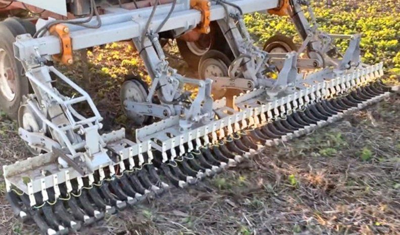 10 maneras de matar malezas sin agroquímicos