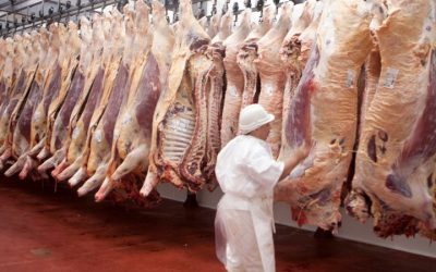 La aduana estableció valores de referencia para la exportación de carne vacuna