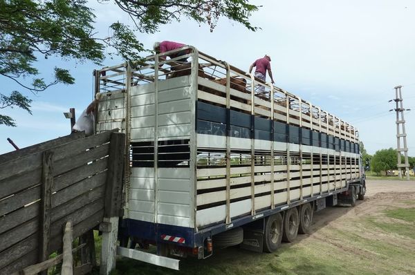 Tras el ataque al camión de hacienda, transportistas señalan los puntos más peligrosos y piden mayor seguridad