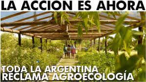 INTA lanza un curso de agroecología y abordará horticultura, fruticultura, agroforestería y ganadería