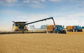 Retenciones: La Argentina es uno de los cinco países que las aplica entre entre los 50 mayores exportadores