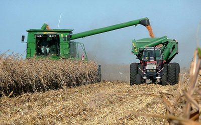 Se demora la siembra de Trigo y avanza la cosecha de Soja y de Maíz