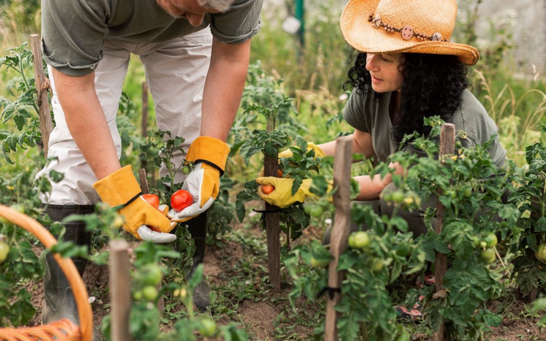 ¿Tendencia o realidad, habrá un boom de huertas comunitarias en los barrios cerrados?