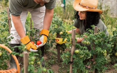 ¿Tendencia o realidad, habrá un boom de huertas comunitarias en los barrios cerrados?