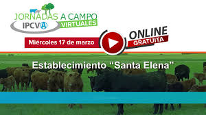 Nueva jornada ganadera del IPCVA en Guaminí, Provincia de Buenos Aires, llega este 17 de marzo
