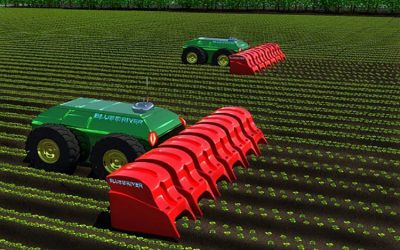 Los robots y la inteligencia artificial en la agricultura moderna