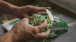 Agricultura abrió la convocatoria del Programa Nacional «DesarrollAR»