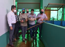 Agricultura impulsa el desarrollo de la acuicultura y la piscicultura en el territorio nacional