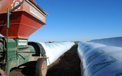 Pautas para lograr un almacenamiento seguro