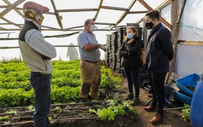 Agricultura en Tierra del Fuego para fortalecer el trabajo de pequeños y medianos productores