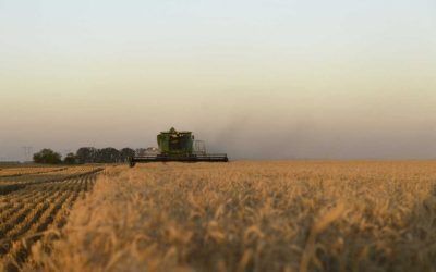 Siete de cada diez empresarios agropecuarios prevé realizar inversiones este año