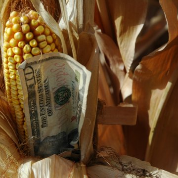 Los futuros del maíz suben en las operasciones nocturnas; la producción semanal de etanol aumenta.