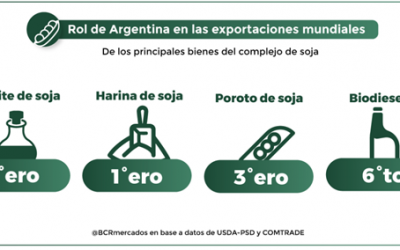 Argentina será nuevamente el principal proveedor de harina y aceite de soja a nivel mundial