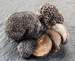 Trufas, el diamante negro de la gastronomia cuya producción se expande en la Argentina