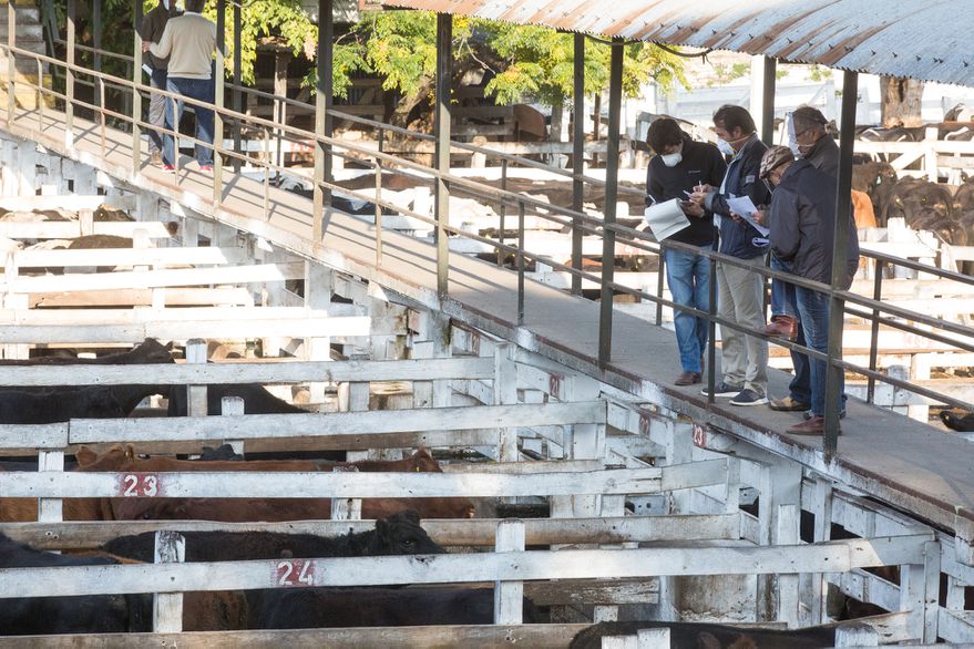 Fuerte rechazo del campo a una eventual intervención en el Mercado de Liniers