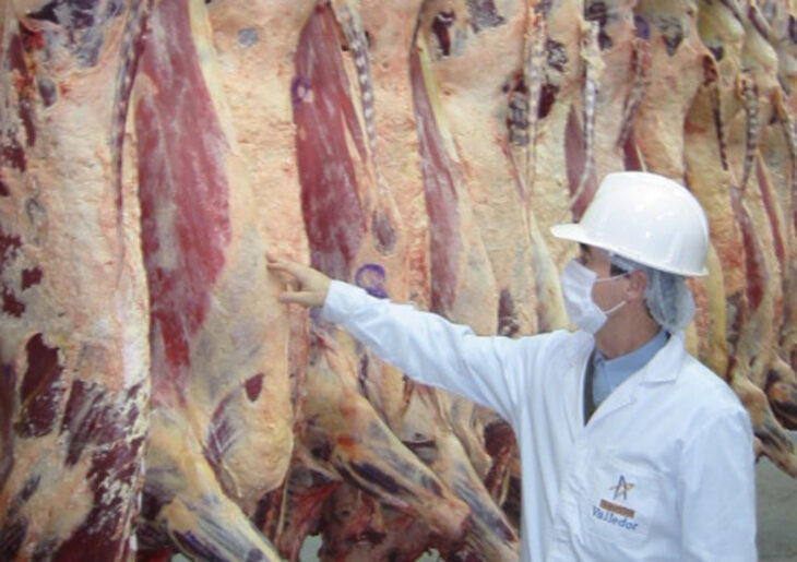 Productores afirman que la suspensión de las exportaciones de carne es una medida «prepotente y disparatada»