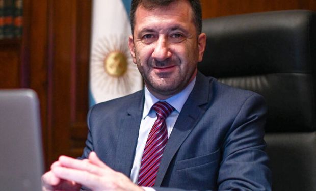 El único senador que votó en contra de la Ley Ovina: quién es y por qué se opone