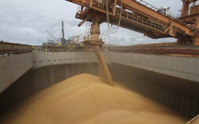 La liquidación de dolares del agro es récord por la sostenida suba del precio de la soja y sus derivados