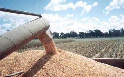 Futuros agropecuarios como herramienta clave en tiempos de volatilidad