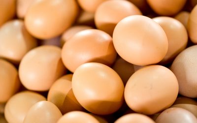 El Gobierno Nacional redujo los derechos de exportación de nuevos productos de las economías regionales