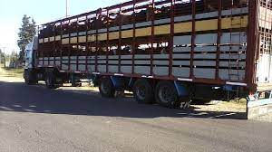 El lavado y desinfección del transporte de hacienda previene enfermedades