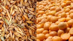 Nuevas precipitaciones sobre el este de la región agrícola ralentizan las labores de la gruesa