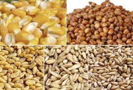 Aseguran que el valor bruto de la producción de los principales granos alcanzaría los US$ 30 mil millones