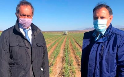 La recorrida de Scioli en San Juan y La Rioja: viñedos, ajo y exportaciones a Brasil