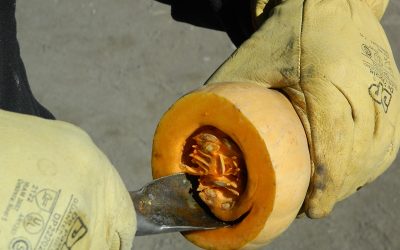 Agricultores familiares producirán sus propias semillas hortícolas