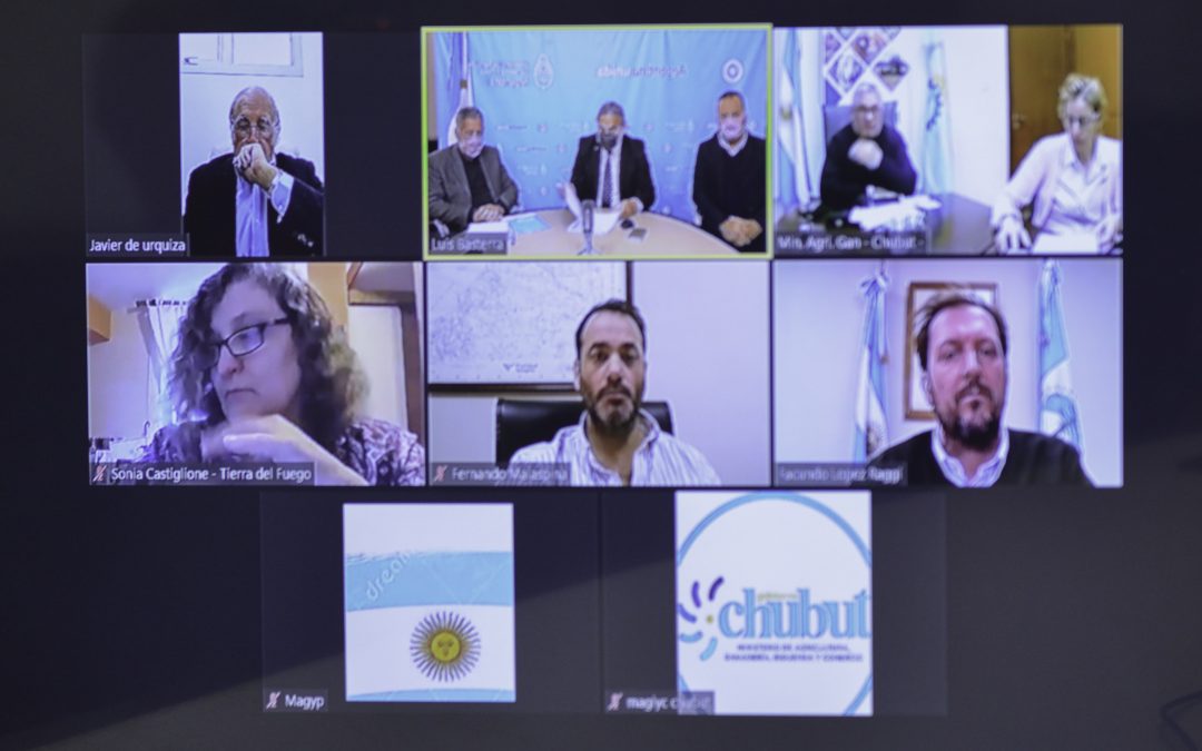 Agricultura concluyó las cuatro reuniones regionales para la construcción del Plan Ganadero Federal