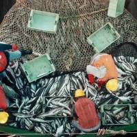 ?La campaña de vacunación contra el COVID llegó a los puertos y ya alcanza a casi la totalidad del personal embarcado