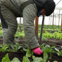 Plan En Nuestras Manos: se aprobaron 22  nuevos proyectos para la región de Cuyo