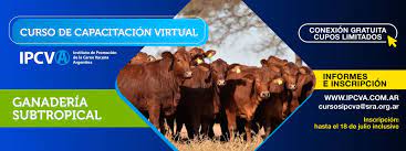Ganadería subtropical: Nuevo curso virtual del IPCVA