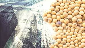 La liquidación de exportaciones agroindustriales fue record en el primer semestre