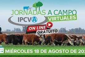 Jornada Ganadera Virtual del IPCVA en el NOA: “Salta y una ganadería que no se detiene”