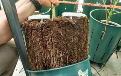 La compañía presentó su último avance tecnológico, el arco de goteo de salidas múltiples de riego ya se encuentra en Argentina.